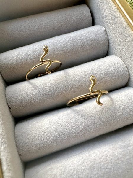 Anillo Snake