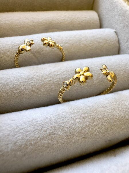 Anillo Bee