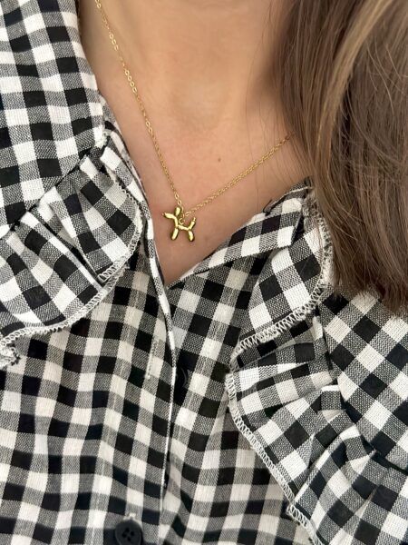 Collar Perrito