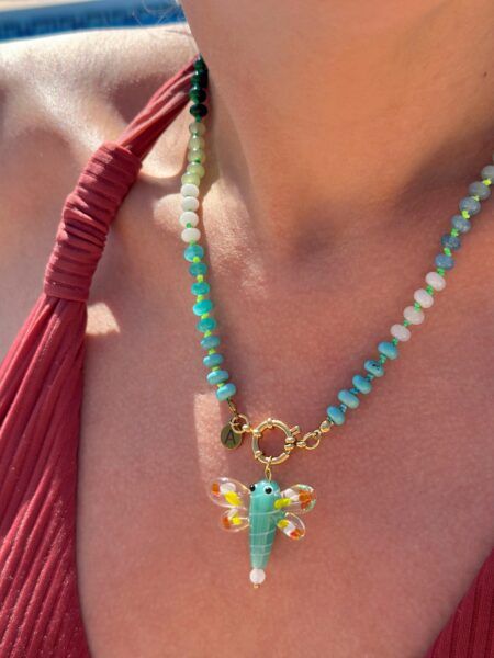 Collar Dragonfly